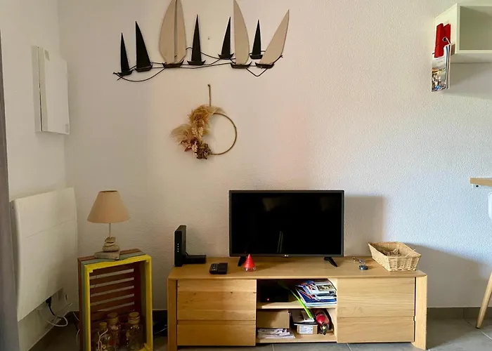 Superbe Appartement T2 En Residence Avec Piscine